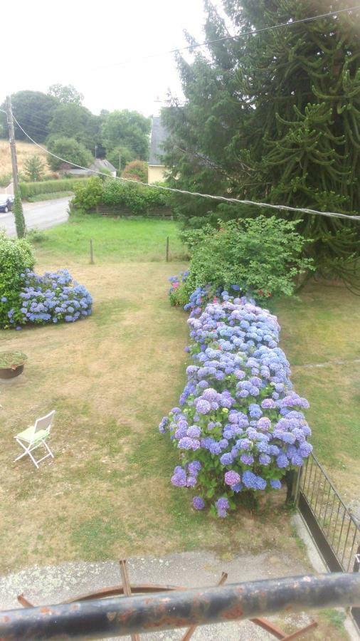 Langonnet Ty Beg Ar Grapenn Bed & Breakfast エクステリア 写真